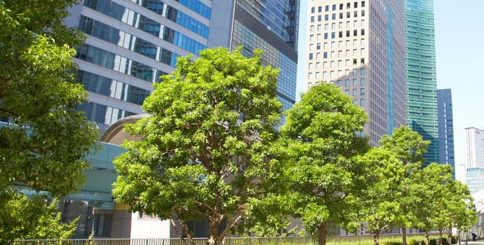 Rigenerazione Urbana